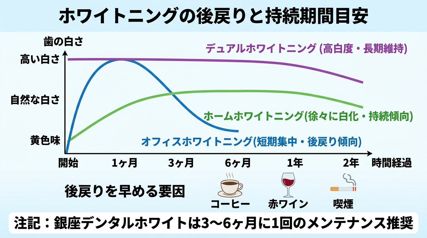 ホワイトニングの後戻り(色戻り)と持続期間の目安を示すインフォグラフィック。横軸に時間経過、縦軸に歯の白さ。3本の曲線: オフィスホワイトニング(短期で急上昇→後戻りしやすい)、ホームホワイトニング(緩やかに上昇→持続しやすい)、デュアル(高い白さを長く維持)。下部に後戻りを早める要因アイコン: コーヒー・赤ワイン・喫煙。注記『銀座デンタルホワイトは3〜6ヶ月に1回のメンテナンス推奨』