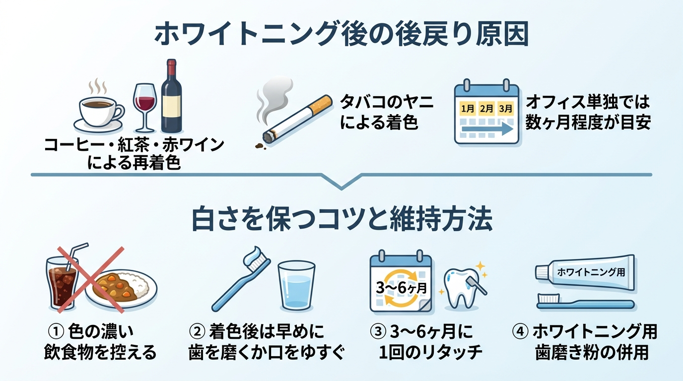 ホワイトニングの後戻りと維持を説明するイラスト図。上段『後戻りの原因』: コーヒー・紅茶・赤ワイン・タバコによる再着色、オフィス単独では数ヶ月程度が目安。下段『白さを保つコツ』: 色の濃い飲食物を控える、着色後は早めに歯を磨くか口をゆすぐ、3〜6ヶ月に1回のリタッチ、ホワイトニング用歯磨き粉の併用