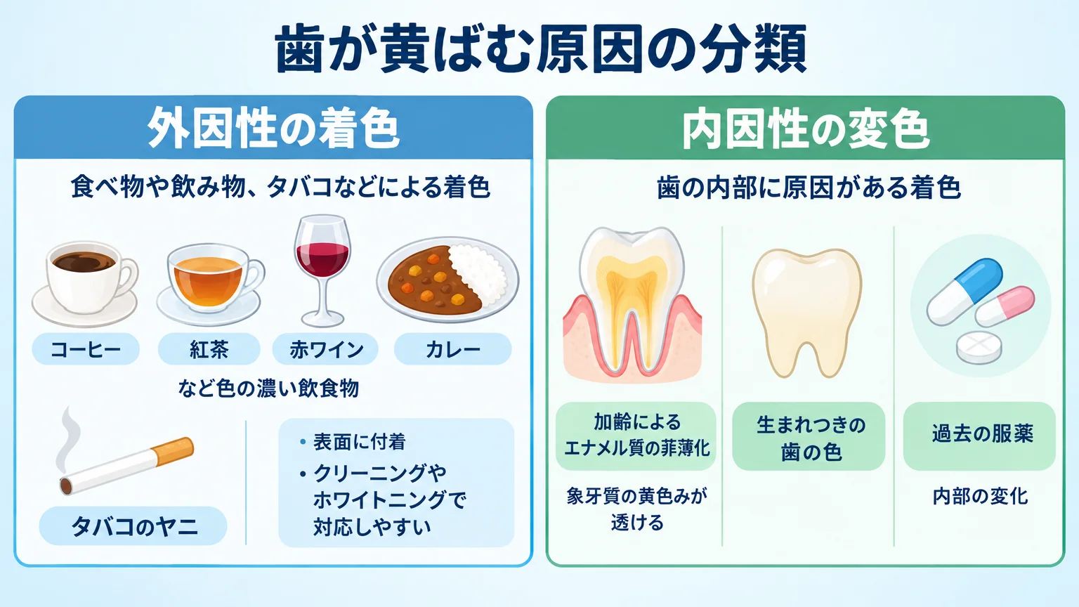 歯が黄ばむ原因の分類図。外因性の着色:コーヒー・紅茶・赤ワイン・カレーなど色の濃い飲食物、タバコのヤニ(表面に付着・クリーニングやホワイトニングで対応しやすい)/内因性の変色:加齢によるエナメル質の菲薄化で象牙質の黄色みが透ける、生まれつきの歯の色、過去の服薬(内部の変化)