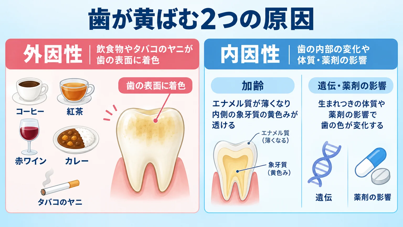 歯が黄ばむ2つの原因を示すイラスト。左側に外因性(コーヒー・紅茶・赤ワイン・カレー・タバコのヤニが歯の表面に着色)、右側に内因性(加齢でエナメル質が薄くなり内側の象牙質の黄色みが透ける、遺伝・薬剤の影響)を対比して図解