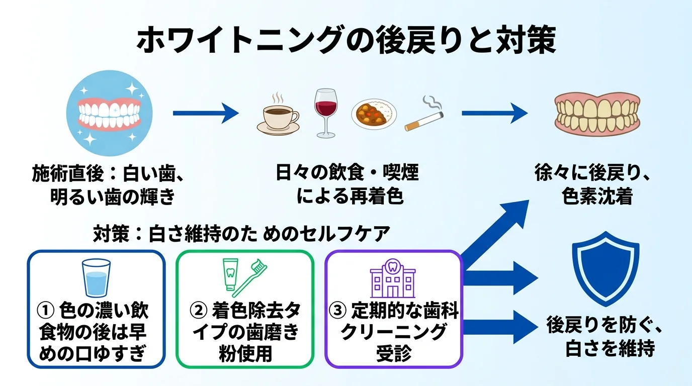 ホワイトニングの後戻りと対策を示したフロー図。施術直後（白い歯）→日々の飲食・喫煙による再着色→徐々に後戻り、という流れと、対策として『色の濃い飲食物の後は早めに口をゆすぐ』『着色除去タイプの歯磨き粉』『定期的な歯科クリーニング』の3つのセルフケアを矢印で示す