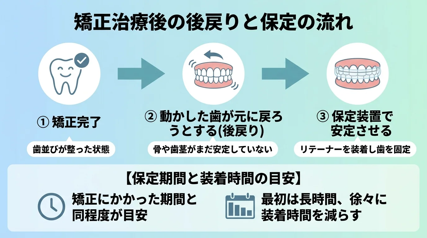 矯正治療後の後戻りと保定(リテーナー)の流れイラスト。『矯正完了→動かした歯が元に戻ろうとする(後戻り)→保定装置で安定させる』の3ステップ。保定期間は矯正にかかった期間と同程度が目安、最初は長時間、徐々に装着時間を減らす、と注記