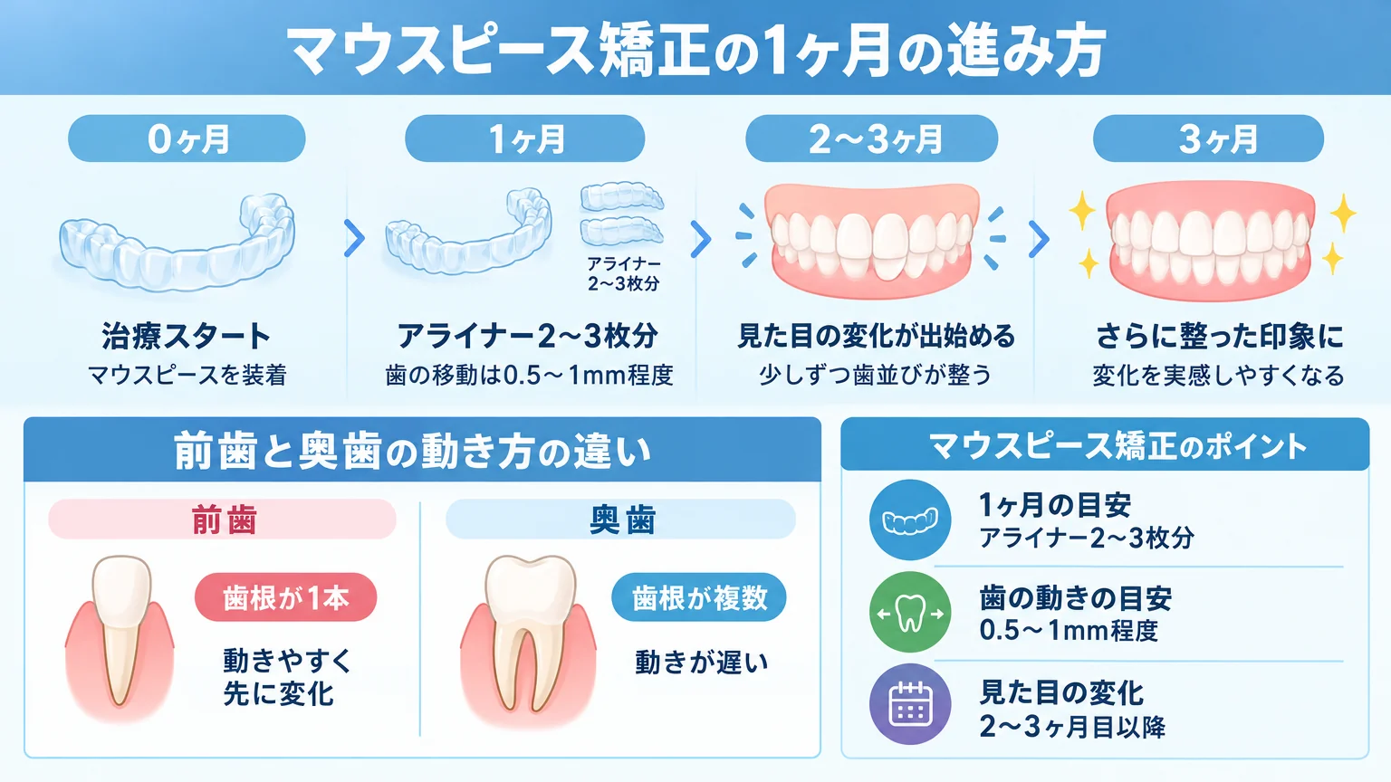 マウスピース矯正の1ヶ月の進み方を示すインフォグラフィック。横軸に0〜3ヶ月のタイムライン。1ヶ月=アライナー2〜3枚分・歯の移動は0.5〜1mm程度でごくわずか、2〜3ヶ月目以降に見た目の変化が出ると図示。前歯は歯根1本で動きやすく先に変化、奥歯は歯根が複数で動きが遅いと対比。日本語ラベル付き。