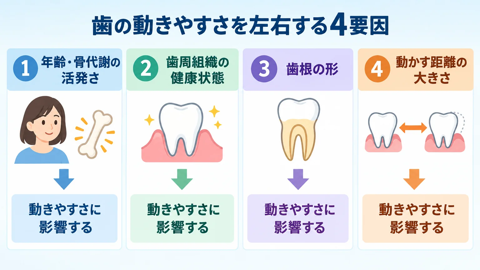 歯の動きやすさを左右する4要因のインフォグラフィック。4つのアイコン付きボックスで『①年齢・骨代謝の活発さ』『②歯周組織の健康状態』『③歯根の形』『④動かす距離の大きさ』を並べ、各要因が動きやすさにどう影響するかを矢印で示す