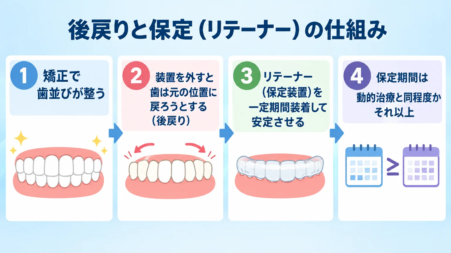 後戻りと保定(リテーナー)の仕組みフロー図。①矯正で歯並びが整う→②装置を外すと歯は元の位置に戻ろうとする(後戻り)→③リテーナー(保定装置)を一定期間装着して安定させる→④保定期間は動的治療と同程度かそれ以上。4ステップのフローイラスト