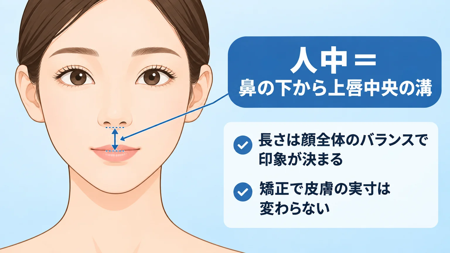 人中の位置と測り方を示す顔正面のイラスト。鼻の下から上唇の縁までの縦の溝を矢印で示し「人中＝鼻の下から上唇中央の溝」とラベル。補足として「長さは顔全体のバランスで印象が決まる／矯正で皮膚の実寸は変わらない」の注記を添える