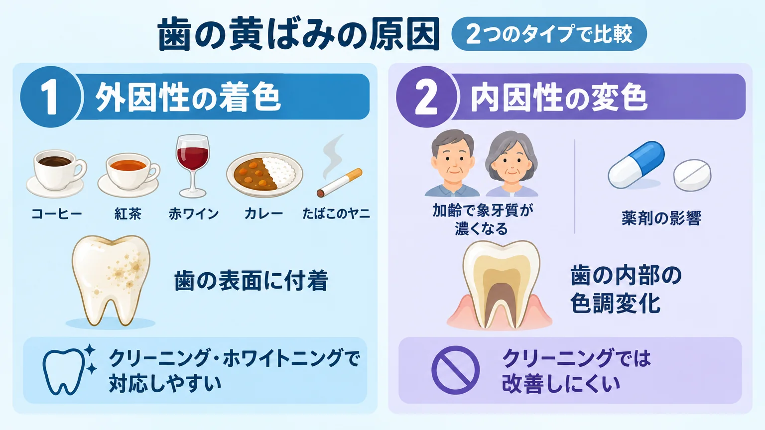 歯の黄ばみの原因を2タイプで比較するイラスト。左に「外因性の着色」（コーヒー・紅茶・赤ワイン・カレー・たばこのヤニ、歯の表面に付着、クリーニング・ホワイトニングで対応しやすい）、右に「内因性の変色」（加齢で象牙質が濃くなる・薬剤の影響、歯の内部の色調変化、クリーニングでは改善しにくい）を配置