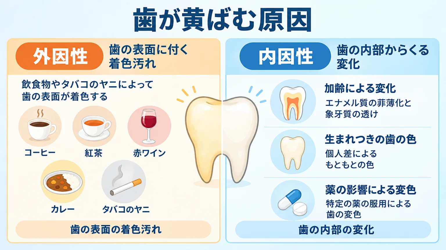 歯が黄ばむ原因を外因性と内因性の2つに分けて示すイラスト。外因性=コーヒー・紅茶・赤ワイン・カレー・タバコのヤニによる歯表面の着色汚れ、内因性=加齢によるエナメル質の菲薄化と象牙質の透け・生まれつきの歯の色・薬の影響による変色、を対比した概念図