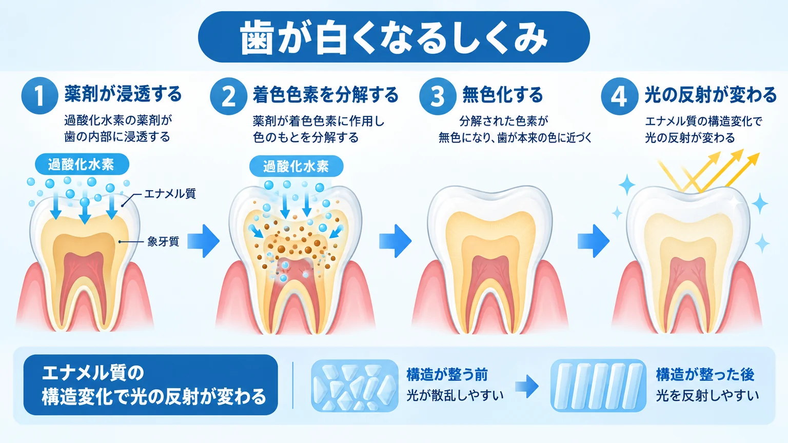 歯が白くなるしくみを示した断面イラスト。歯のエナメル質と象牙質の断面を描き、過酸化水素の薬剤が歯の内部に浸透→着色色素を分解→無色化、という3ステップを矢印で図解。あわせて『エナメル質の構造変化で光の反射が変わる』点を補足。