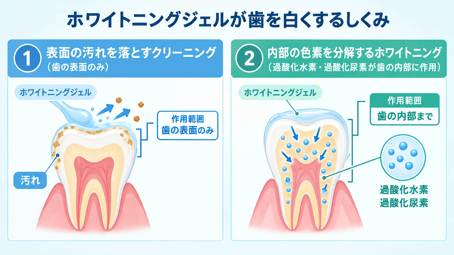 ホワイトニングジェルが歯を白くするしくみの図解。左に『表面の汚れを落とすクリーニング（歯の表面のみ）』、右に『内部の色素を分解するホワイトニング（過酸化水素・過酸化尿素が歯の内部に作用）』を並べ、歯の断面イラストで作用範囲の違いを矢印で示す
