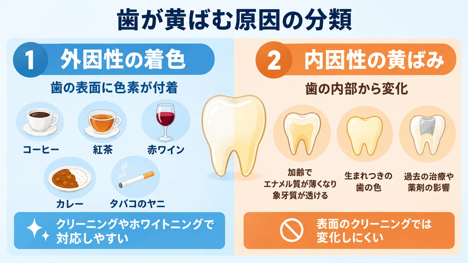 歯が黄ばむ原因の分類図。外因性の着色(歯の表面に色素が付着:コーヒー・紅茶・赤ワイン・カレー・タバコのヤニ、クリーニングやホワイトニングで対応しやすい)と内因性の黄ばみ(歯の内部から変化:加齢でエナメル質が薄くなり象牙質が透ける・生まれつきの歯の色・過去の治療や薬剤の影響、表面のクリーニングでは変化しにくい)を左右に分けて図解